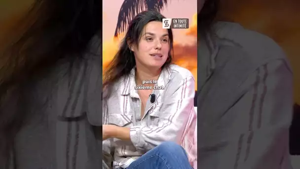 Son voisin fait disparaître ses 6 chats 🐈 #samzirah #mapr #interview