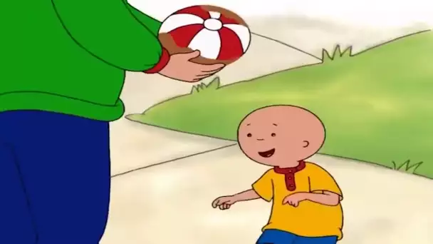 Caillou et L'observation D'oiseaux | Caillou en Français