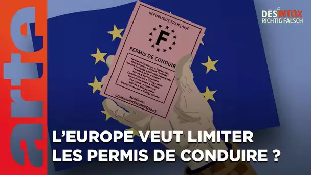 L’Europe veut limiter les permis de conduire ? - ARTE