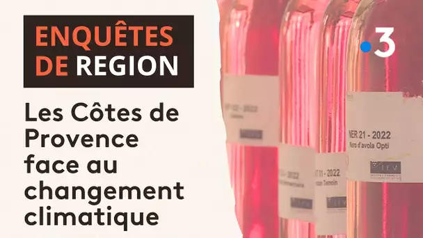 Touche pas à mon terroir : les Côtes de Provence face au changement climatique