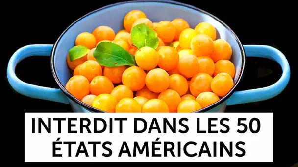 Pourquoi ils ont Interdit les Prunes Jaunes aux États-Unis et 21 Autres Aliments Prohibés