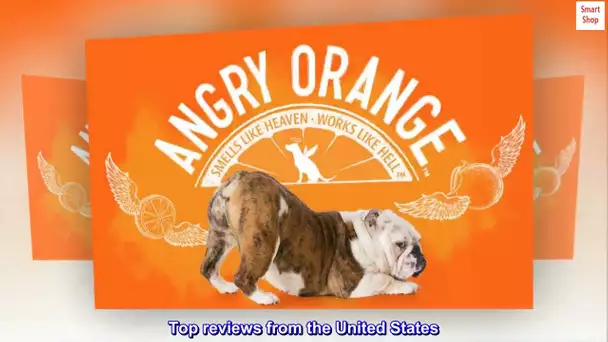 ANGRY ORANGE Pet Odor Eliminator for Strong Odor - Citrus Deodorizer for Strong Dog Urine or Cat Pee