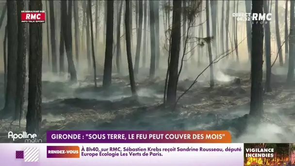 Incendies : pourquoi les feux reprennent-ils en Gironde ?