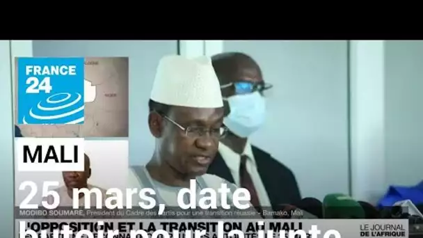 Transition au Mali : les partis ne reconnaîtront plus les autorités le 25 mars • FRANCE 24