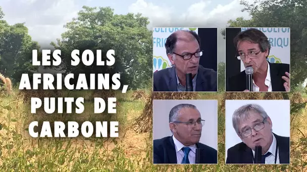 Les sols africains, puits de carbone - COP22 - L'Esprit Sorcier