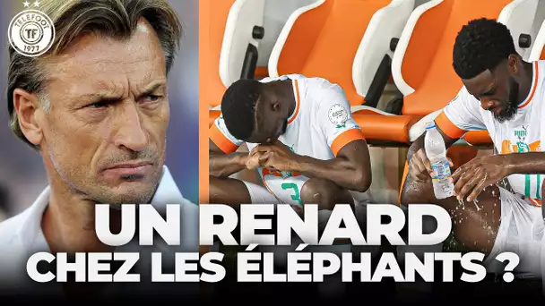 La FOLLE idée de la Côte d'Ivoire pour Hervé Renard ! - La Quotidienne #1459