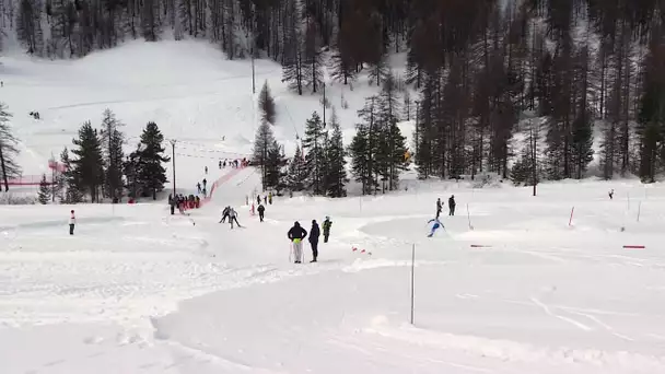 Pénurie de neige : certaines compétitions de ski sont délocalisées à Arvieux