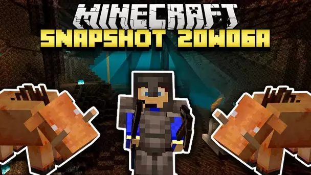 Minecraft Nether Update 1.16 - Snapshot 20w06 - Les biomes et la netherite