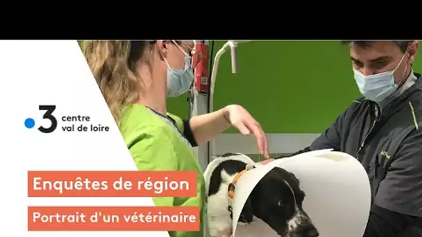 Enquêtes de région : portrait d'un vétérinaire de Vierzon