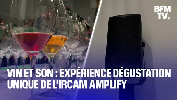 Vin et son: une expérience dégustation unique de l'Ircam Amplify