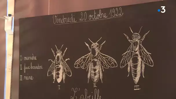 Exposition "Plus ou moins bête" à lécole musée de Boulogne-sur-mer