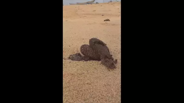 Surfer au Togo, mission impossible ? 💩