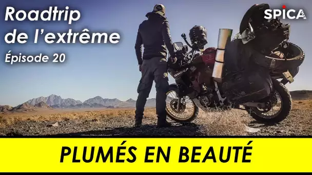 Roadtrip de l'extrême #Ep20 : plumés en beauté