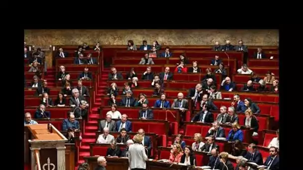 LREM : des dizaines de députés au bout du rouleau