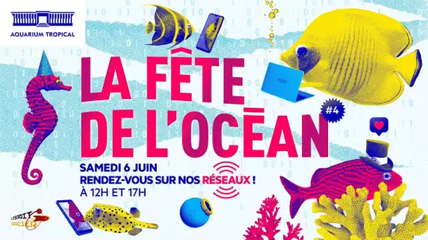 La Fête de l'océan 2020 - 2ème partie