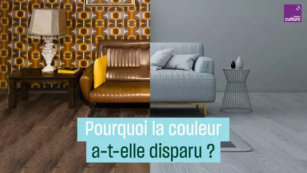 Pourquoi la couleur a-t-elle disparu de notre quotidien ?