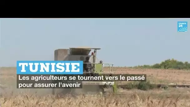 Tunisie : les agriculteurs se tournent vers le passé pour assurer l’avenir • FRANCE 24
