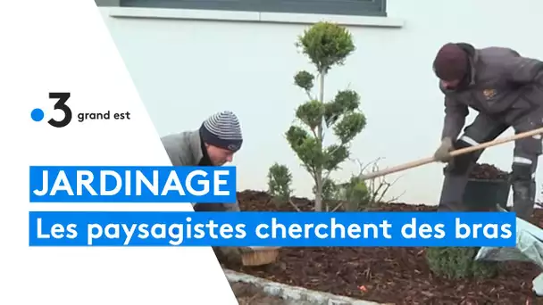 1000 postes à pourvoir chez les paysagistes du Grand Est