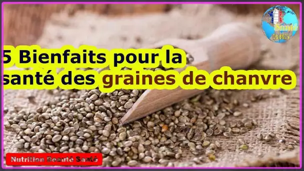 5 Bienfaits pour la santé des graines de chanvre|Nutrition Beauté Santé