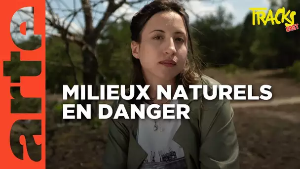 Lutter pour la nature en temps de guerre ? | Tracks East | ARTE