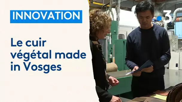 Innovation : le cuir végétal made in Vosges