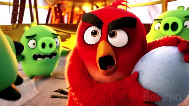 Sauvons l'œuf | Angry Birds: Le film | Extrait VF
