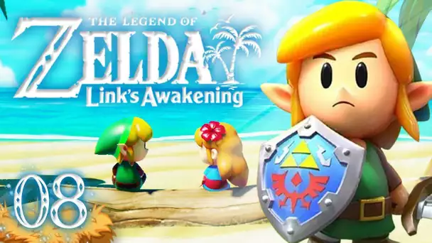 Zelda Link's Awakening HD : L'ocarina des rêves ! #08