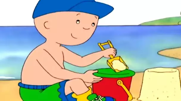 Caillou au Bord de la Mer | Caillou en Français