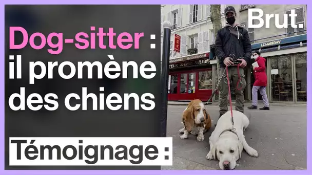 Tibod est dog-sitter : il promène des chiens