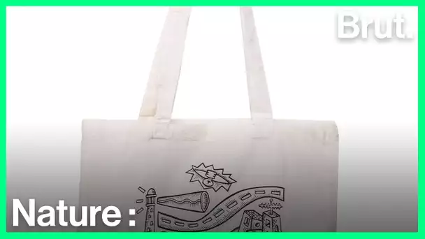 L&#039;impact écologique des tote bags