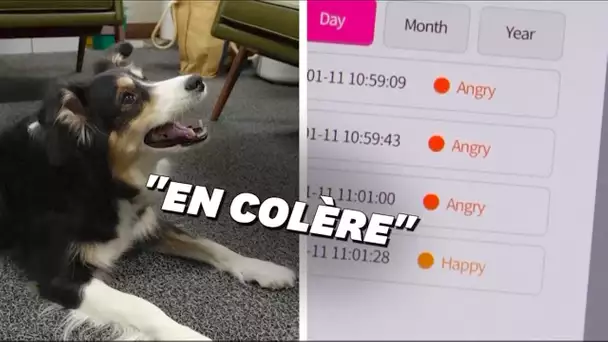 Traduire les aboiements de votre chien, c'est la promesse de cette start-up