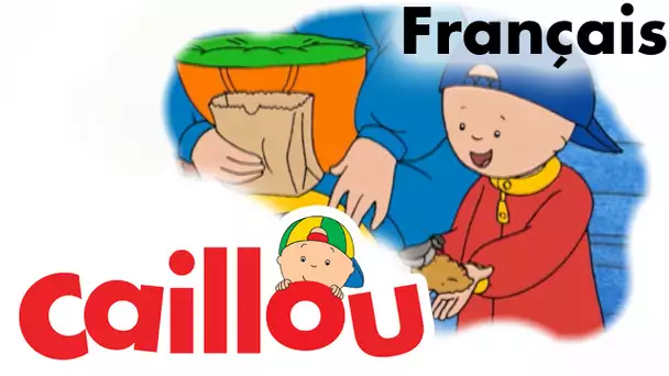 Caillou FRANÇAIS - Caillou observe les oiseaux  (S01E58) | conte pour enfant | Caillou en Français