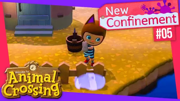 Animal Crossing : New CONFINEMENT #05 -  Je confine mes premiers habitants !