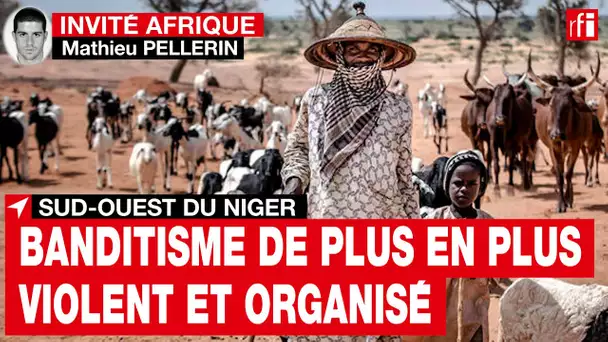 Niger : « L'aggravation de la crise du pastoralisme nourrit le recrutement du banditisme »