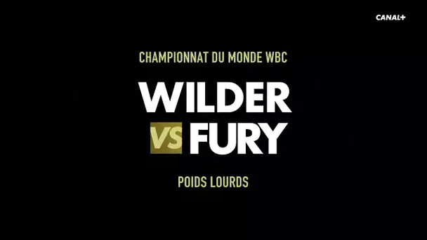 Teaser Wilder vs Fury II