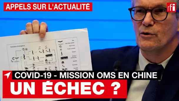 Covid-19 : bilan décevant pour la mission de l'OMS