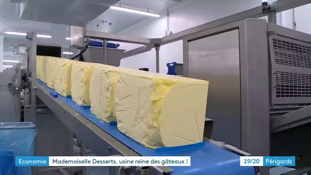 Condat-sur-Trincou : Mademoiselle desserts, une usine reine des gâteaux