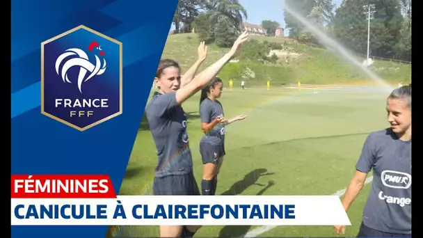Equipe de France Féminine : canicule avant France-USA... I FFF 2019