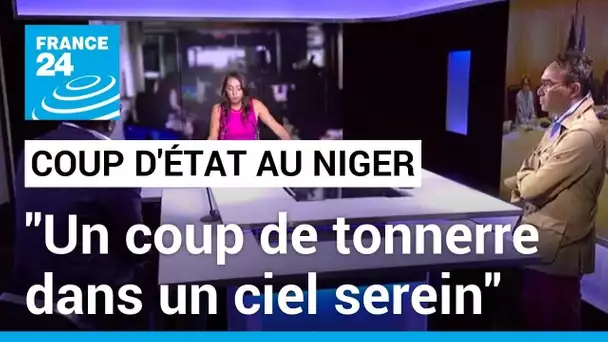 Niger : "ce coup d’Etat est un coup de tonnerre dans un ciel serein » • FRANCE 24