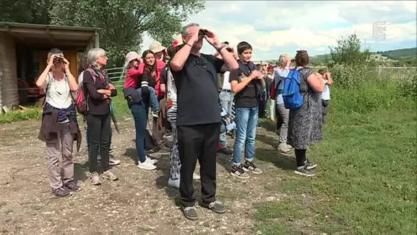 Excursion privilégiée au cœur du Marais-Vernier