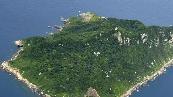 L'île d'Okinoshima, patrimoine mondial, bientôt interdite à tout le monde !