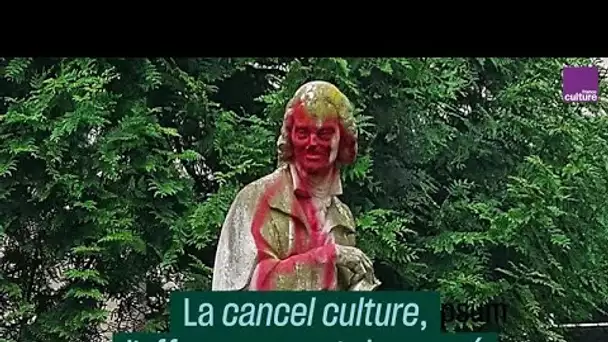 Multiplier les mémoires contre la "cancel culture" - #CulturePrime