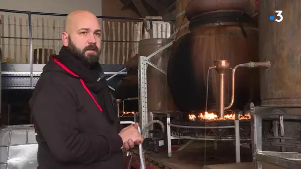 Cantal : dans le secret de la production d'eaux de vie originales