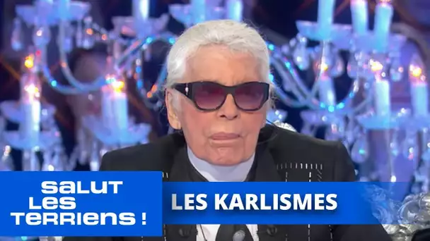 Karl Lagerfeld réagit à ses Karlismes - Salut les Terriens