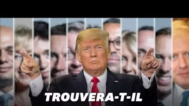 Ces potentiels successeurs de Theresa May sont-ils Trump-compatibles?