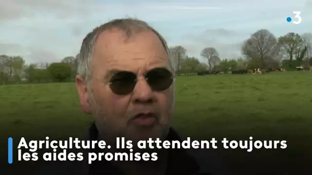 Agriculture. Ils attendent toujours les aides promises