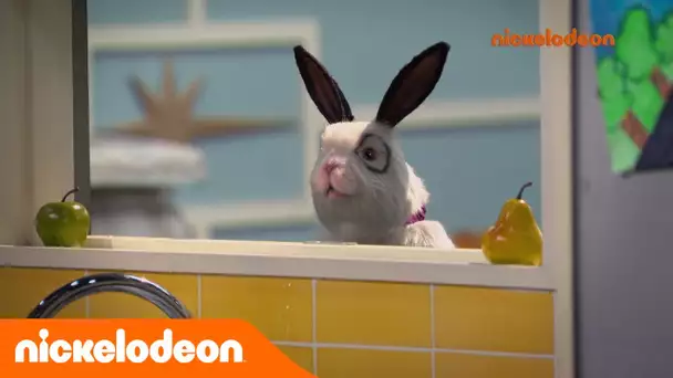Les Thunderman | Terrible lapin | Nickelodeon France