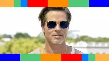 Brad Pitt : cette liste secrète que l'acteur alimente régulièrement