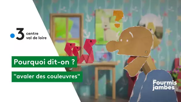 Pourquoi dit-on : avaler des couleuvres