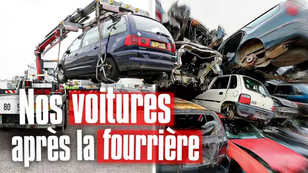 A la casse ou aux enchères : la fin de vie de nos voitures